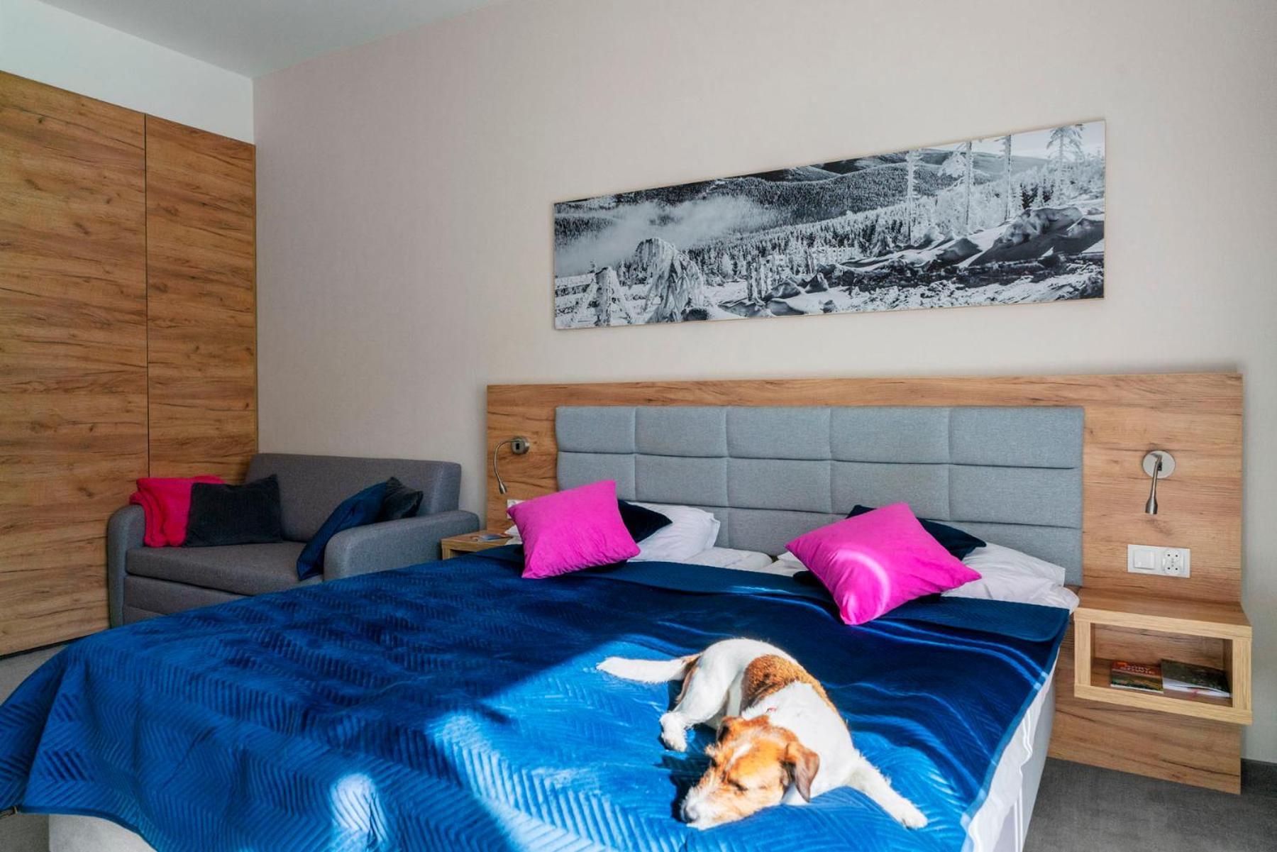 Apartament Folgaria - Aparthotel Panorama Czarna Gora Sienna  Luaran gambar